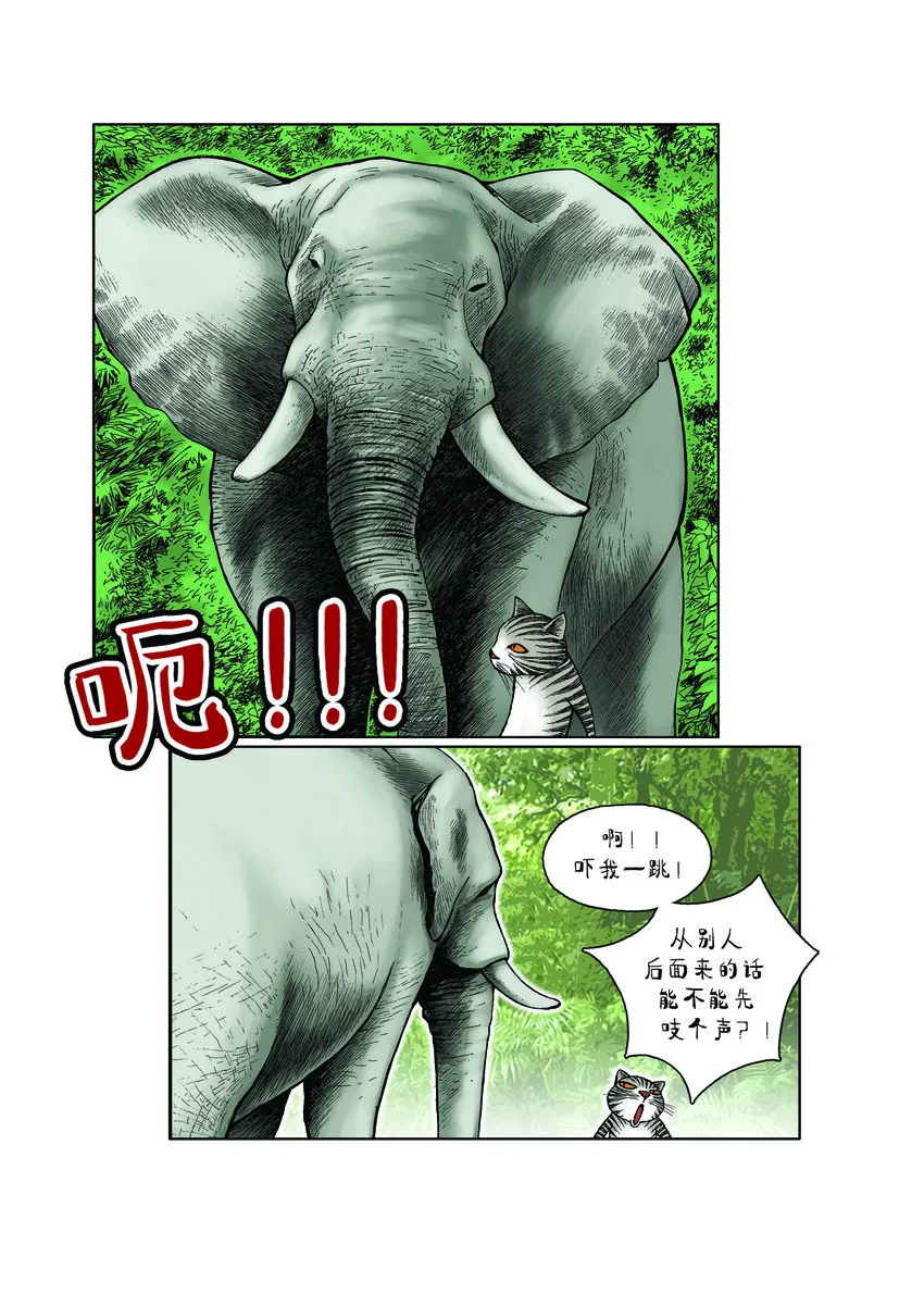 第一季 第28集 恐龙再现 第6页