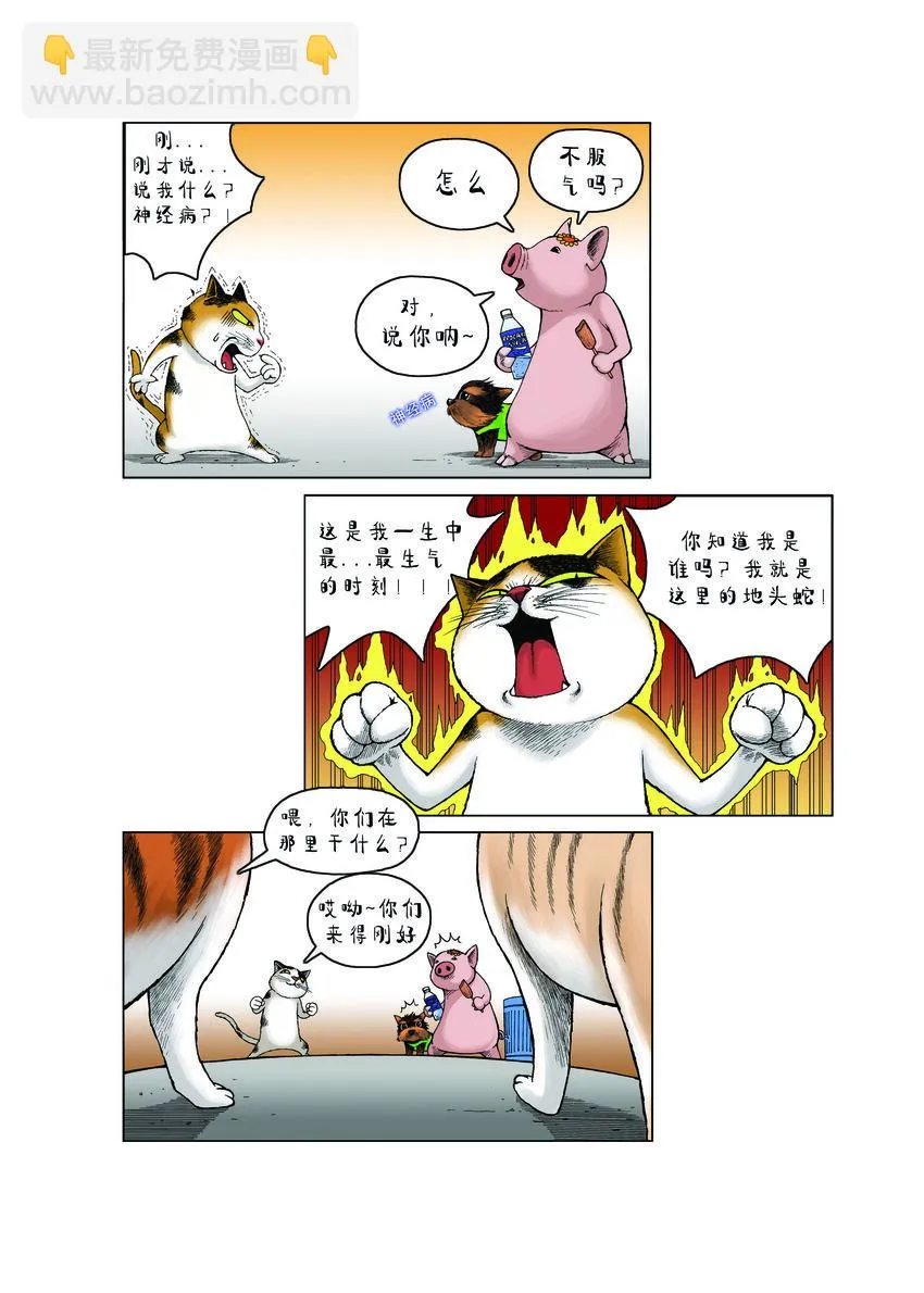 第一季 第18集 远征队，出发！ 第11页