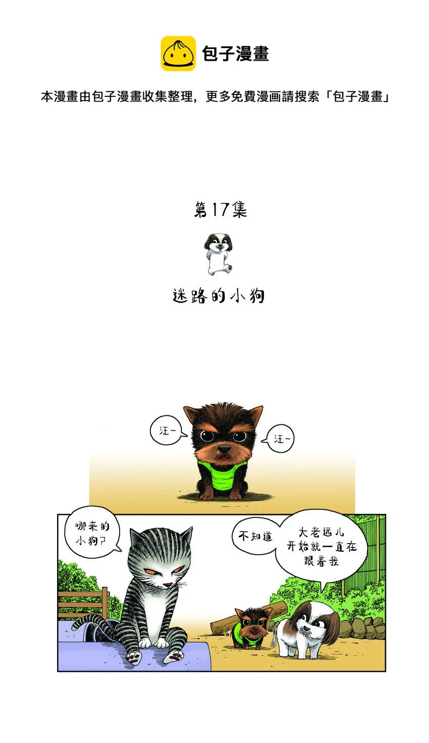 第一季 第17集 迷路的小狗 第1页
