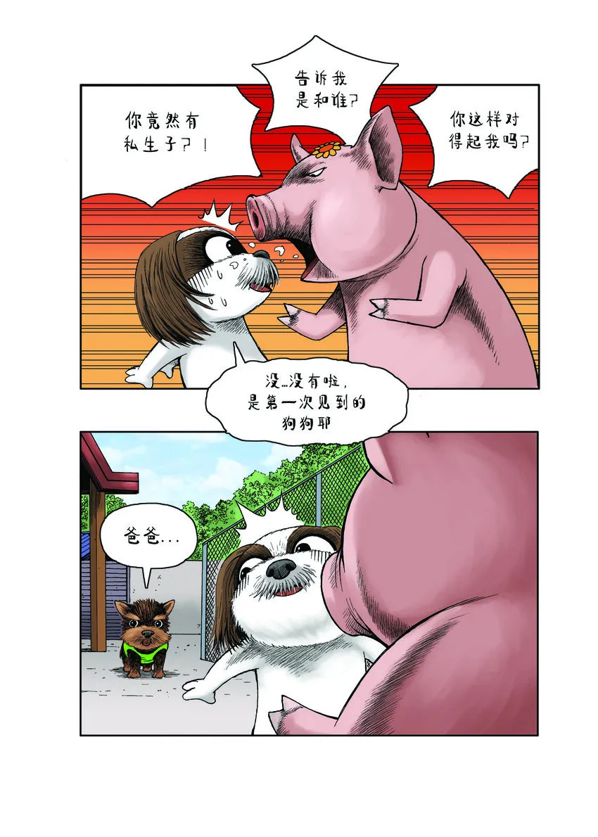 第一季 第17集 迷路的小狗 第3页