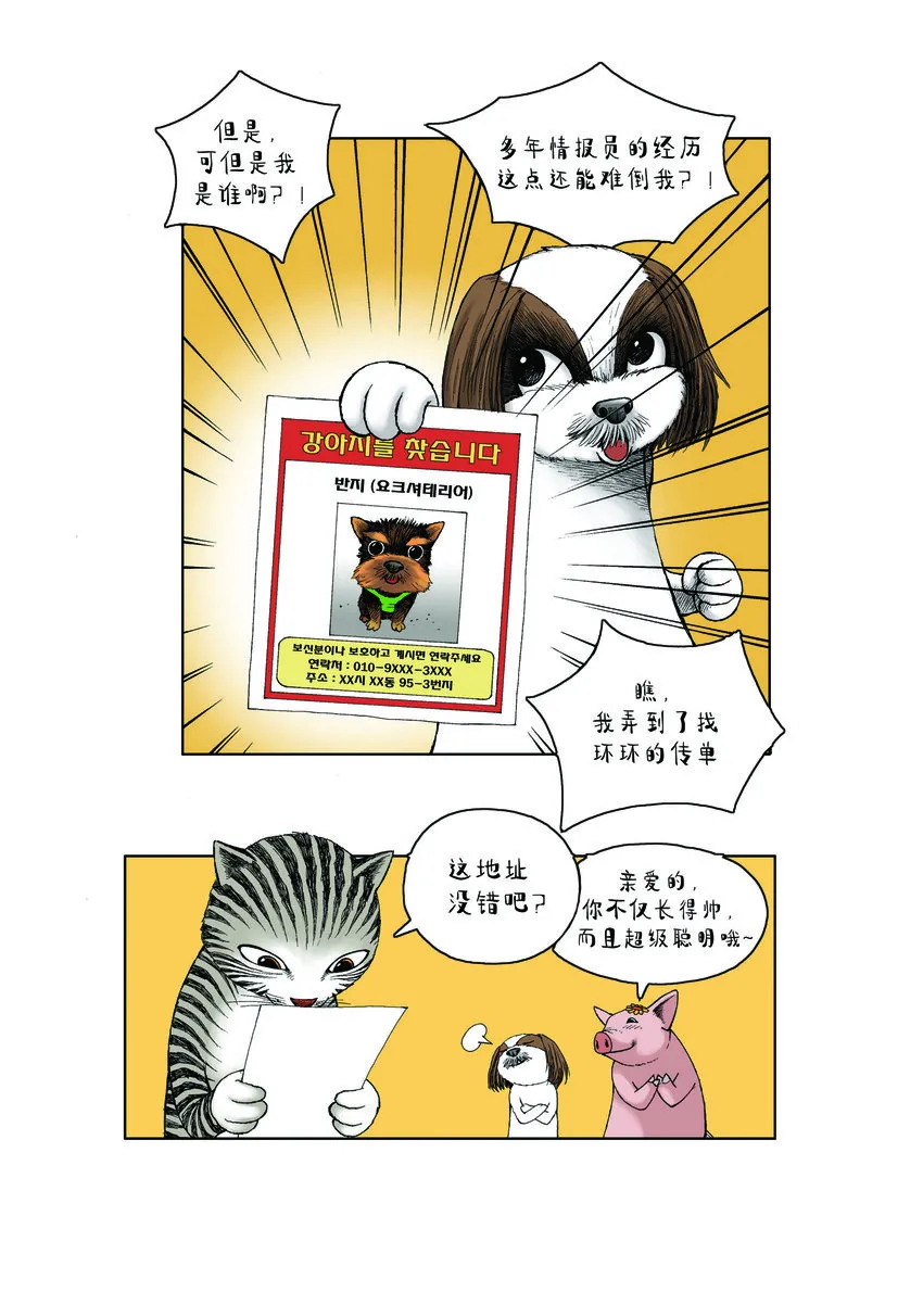 第一季 第17集 迷路的小狗 第11页