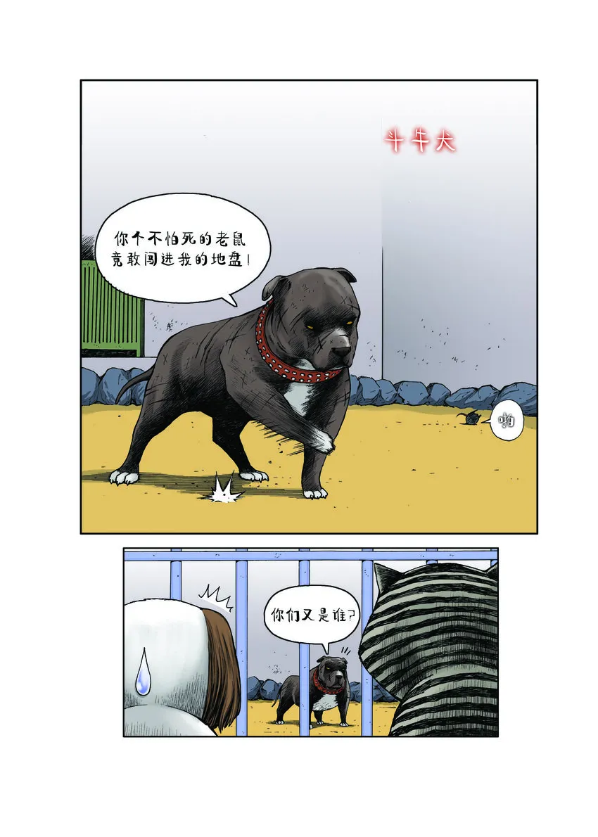 第一季 第13集 潜在的威胁 第5页