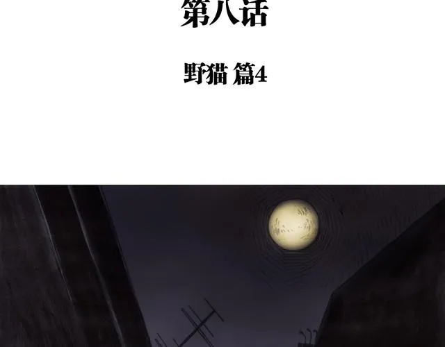 夏日长夜#8 野猫（4） 第4页