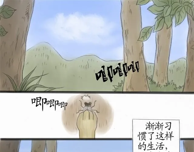 夏日长夜#8 野猫（4） 第17页