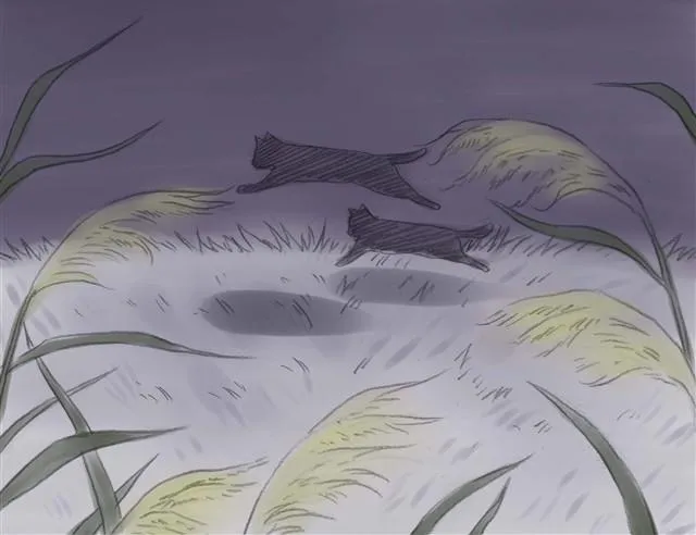 夏日长夜#8 野猫（4） 第27页