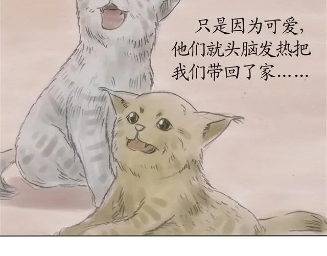 夏日长夜#7 野猫（3） 第3页