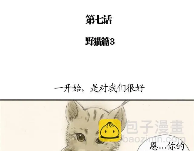 夏日长夜#7 野猫（3） 第4页
