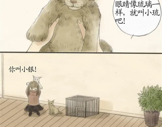 夏日长夜#7 野猫（3） 第5页