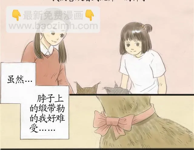夏日长夜#7 野猫（3） 第12页