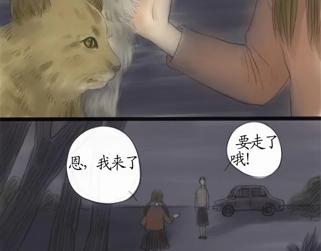 夏日长夜#7 野猫（3） 第29页