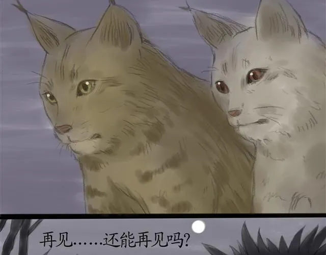 夏日长夜#7 野猫（3） 第31页