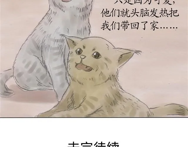 夏日长夜#6 野猫（2） 第33页