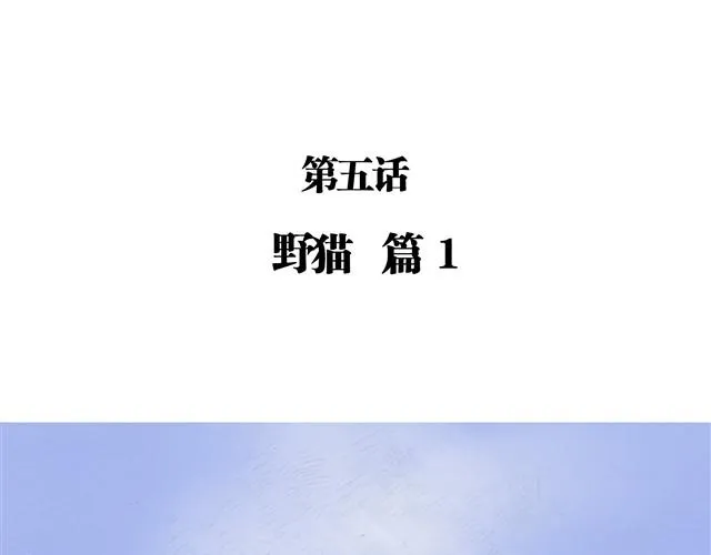 夏日长夜#5 野猫（1） 第7页