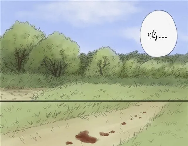 夏日长夜#5 野猫（1） 第10页