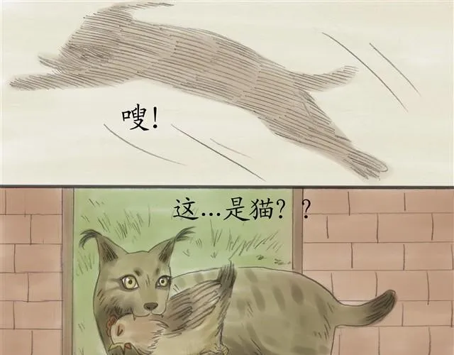 夏日长夜#5 野猫（1） 第16页