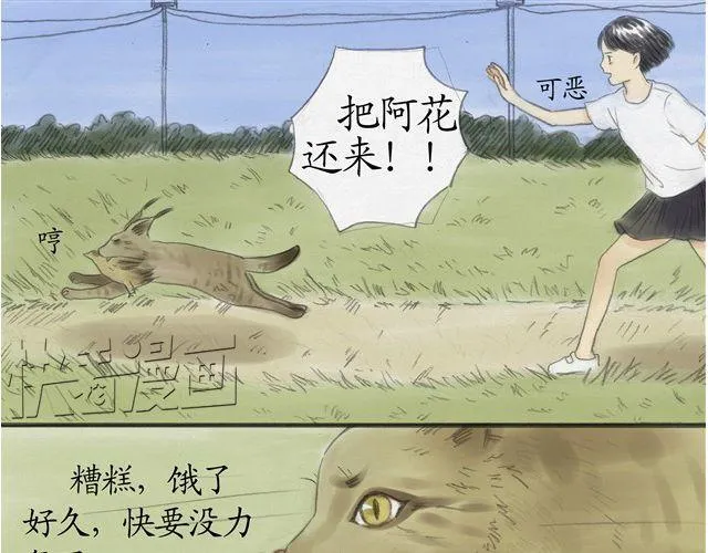 夏日长夜#5 野猫（1） 第18页
