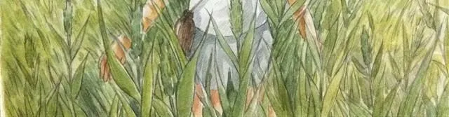 夏日长夜#1 夏日里的小精怪 第2页