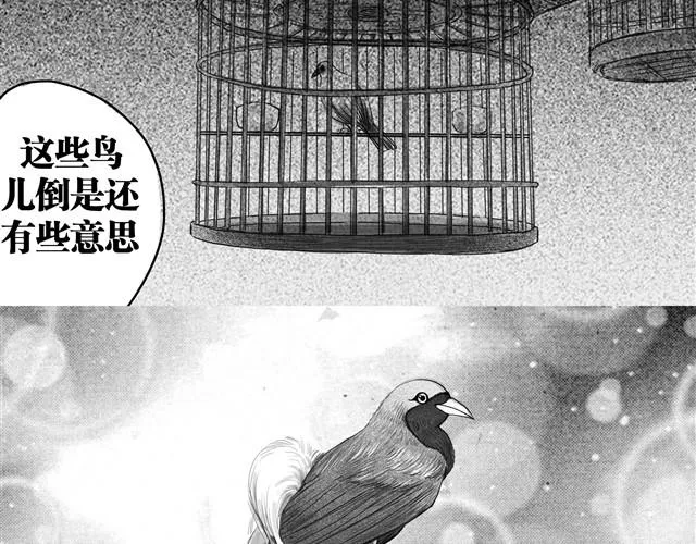 极乐鸟 第4页
