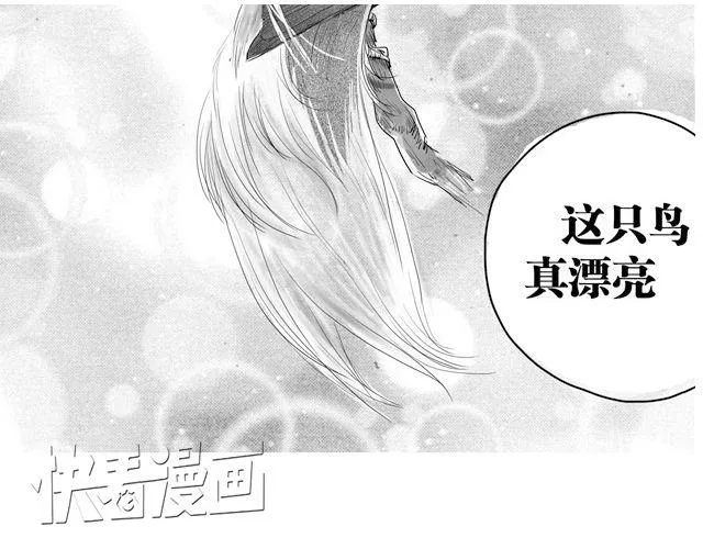 极乐鸟 第5页