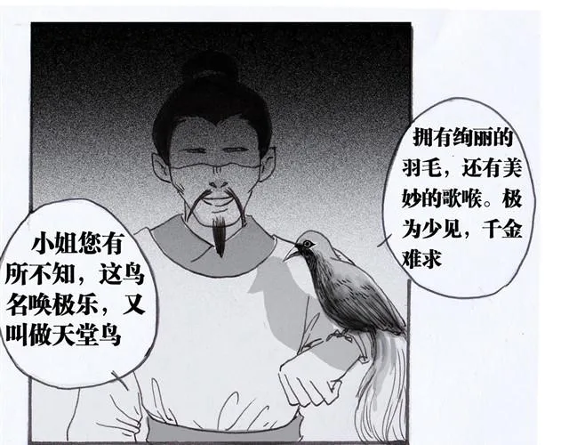 极乐鸟 第6页
