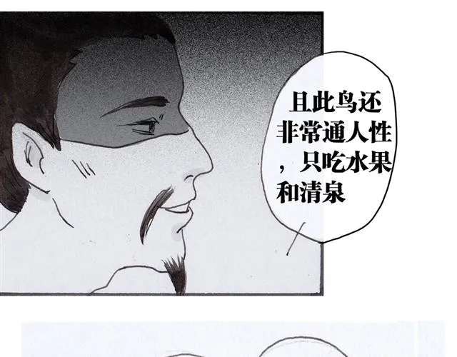极乐鸟 第8页