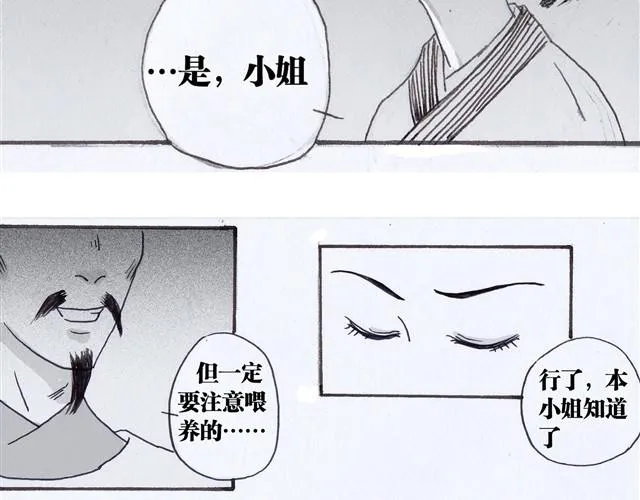 极乐鸟 第12页
