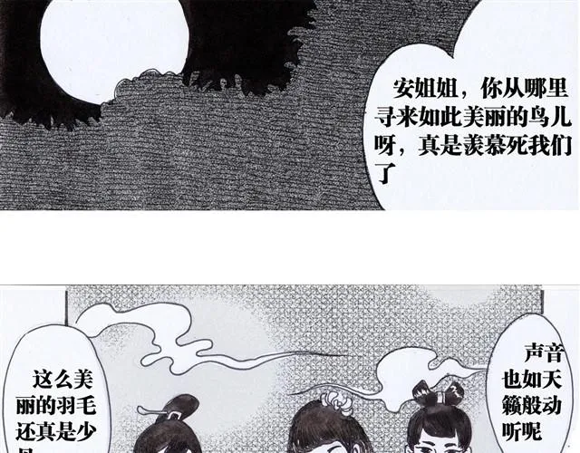 极乐鸟 第15页