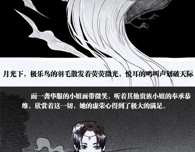 极乐鸟 第17页