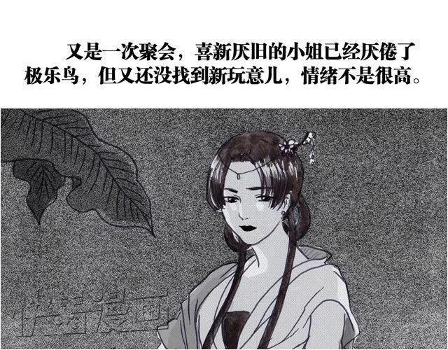 极乐鸟 第19页