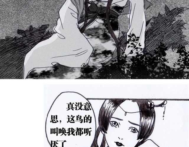 极乐鸟 第20页