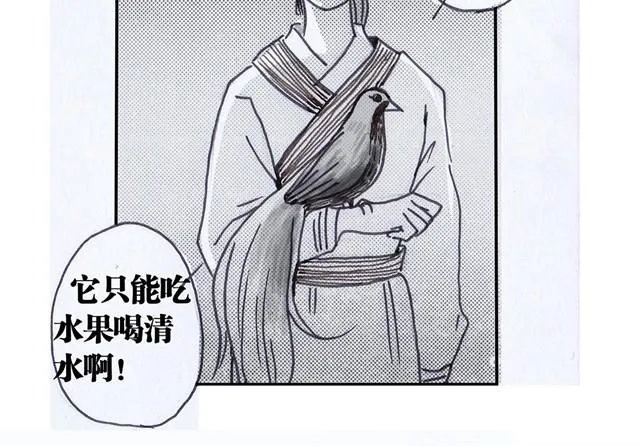 极乐鸟 第23页