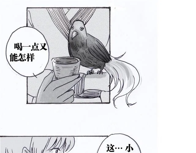极乐鸟 第24页