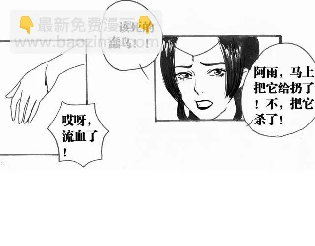 极乐鸟 第29页