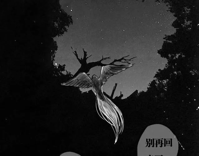 极乐鸟 第32页