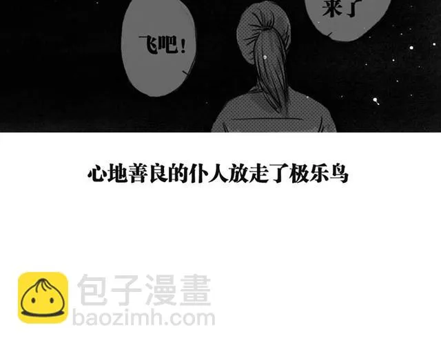 极乐鸟 第33页