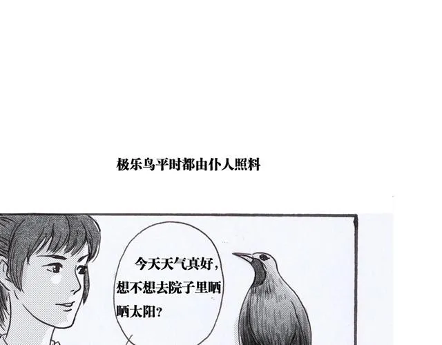 极乐鸟 第34页