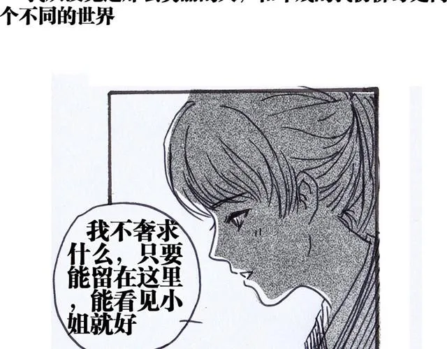 极乐鸟 第42页