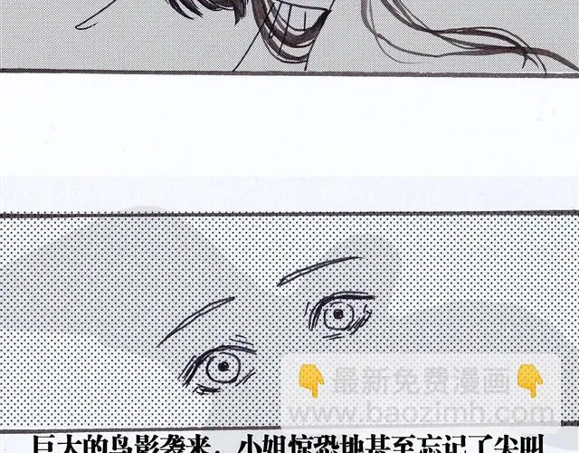 极乐鸟 第49页