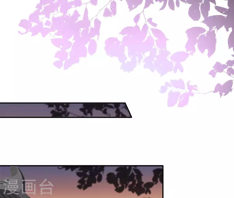 第95话 萧北冥的用意 第42页