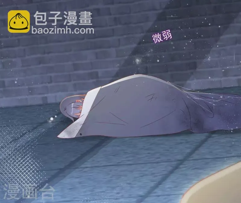 第95话 萧北冥的用意 第46页