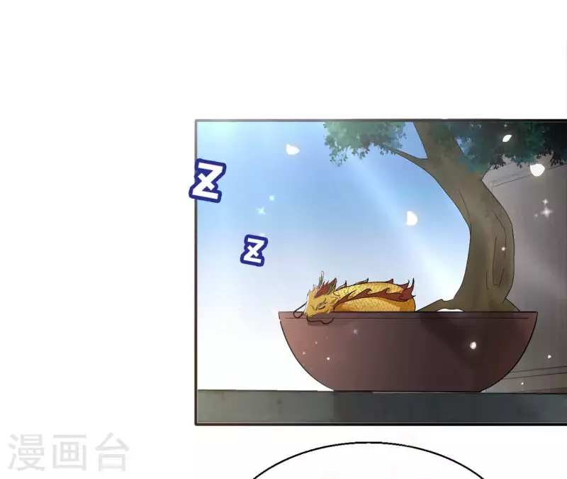 第91话 萧北冥的野心 第28页