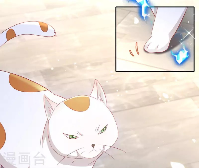 第86话 萧北冥被逼退婚 第49页