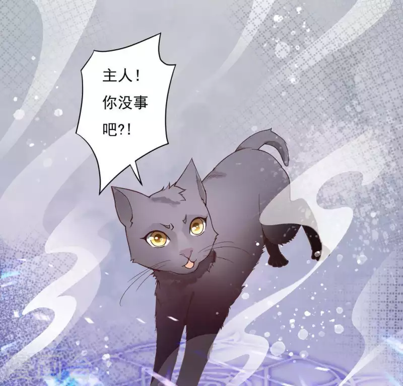 第2话 抢婚 第6页