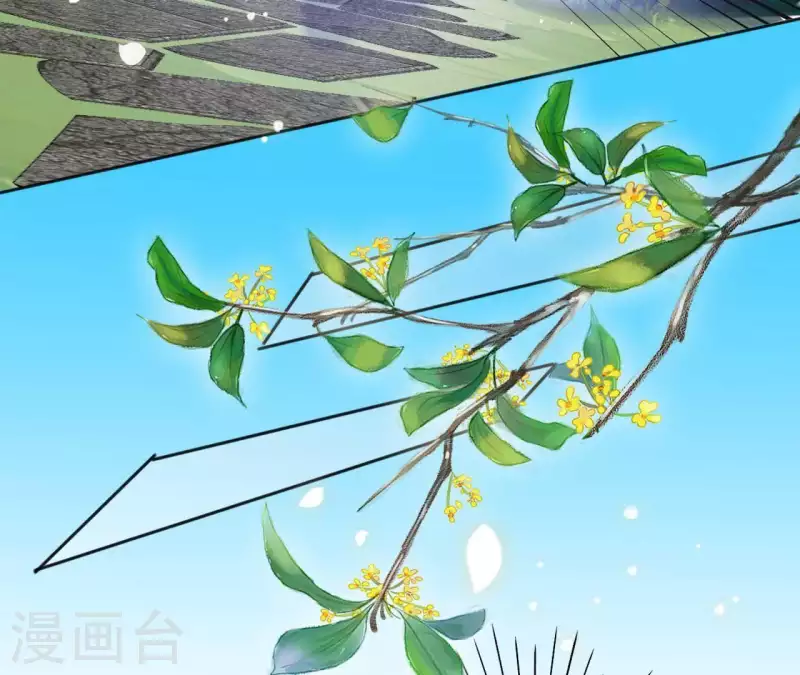 第36话 姻缘花 第13页