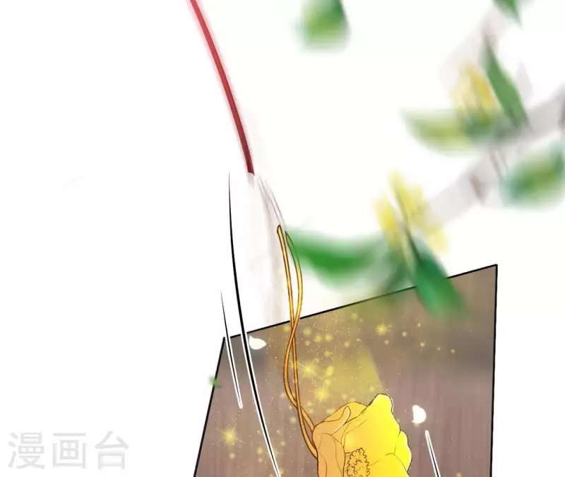 第36话 姻缘花 第51页