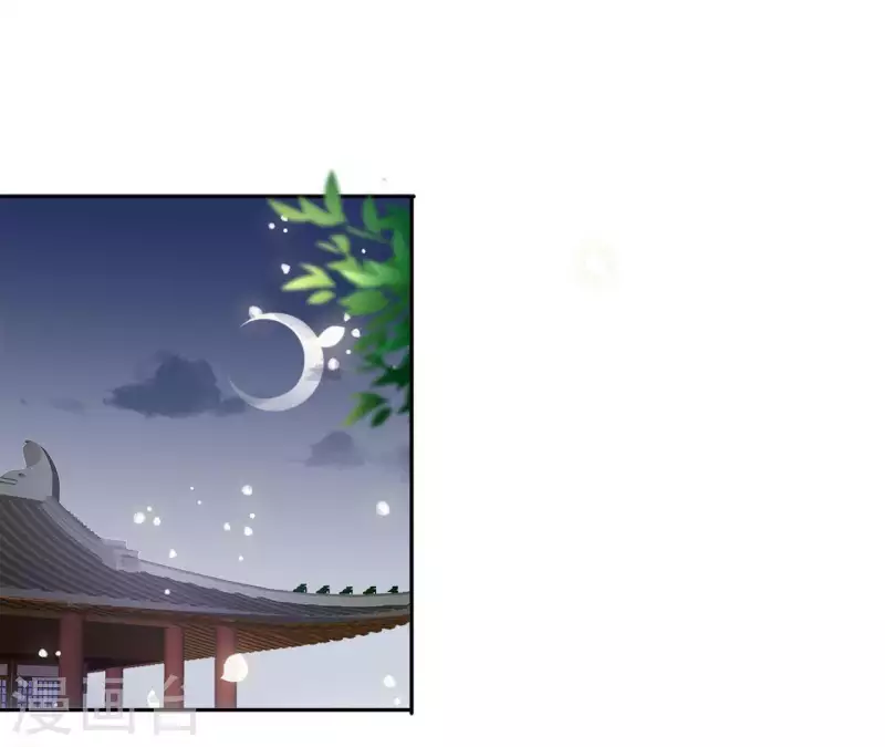 第40话 提亲 第5页