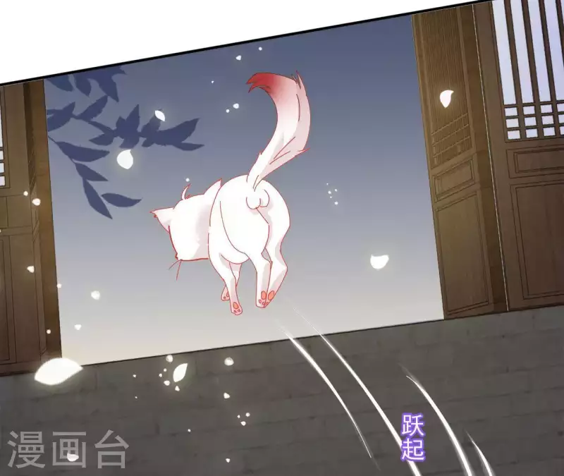 第40话 提亲 第33页
