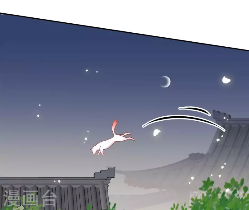 第40话 提亲 第35页
