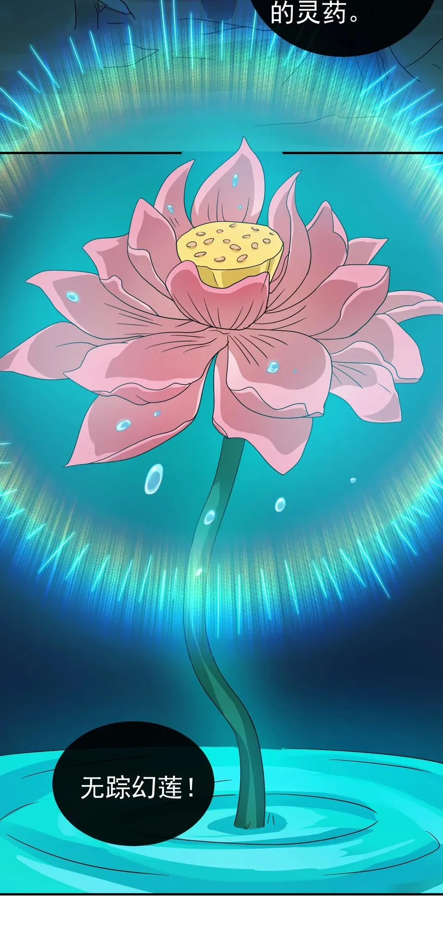 68 莲花，雪花 第28页