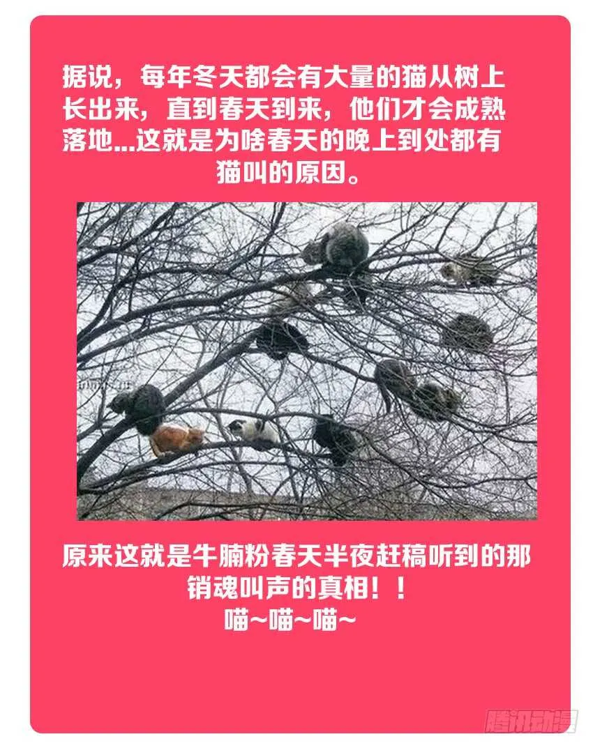 第143集 魔王大人 第13页